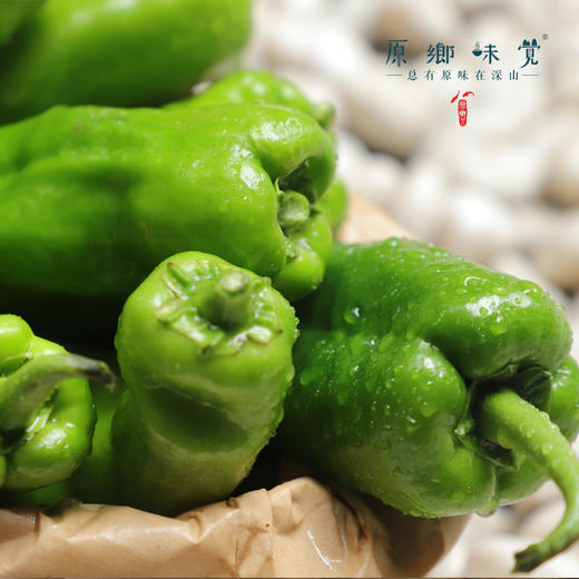 生态青椒/二荆条辣椒/牛角椒（农场直发-顺丰包邮）｜ 成都郫都区基地【原乡农场，自产自销】 商品图7