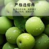 硕果田间 潮汕话梅皇 夏日必备 鲜果制作 肉厚细腻 果大饱满 350g/袋 商品缩略图1