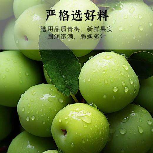 硕果田间 潮汕话梅皇 夏日必备 鲜果制作 肉厚细腻 果大饱满 350g/袋 商品图1