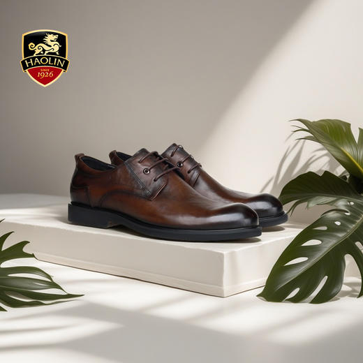 豪麟名鞋奥莱迪嘉男鞋胎牛皮革皮鞋DJWTA41MP001棕色  原价1960元 商品图1