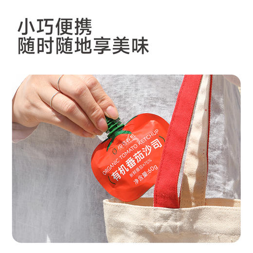 【宝宝爱吃】应物有机番茄酱沙司 儿童家用挤压袋小包装西红柿酱60g*3袋 商品图1