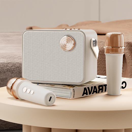 EZM2503A  简约麦克风K歌音箱 商品图6