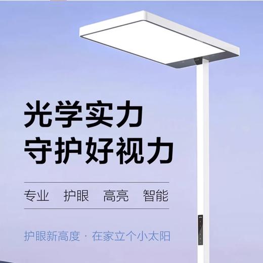 欧普（OPPLE）灯大路灯大台灯定制全光谱立式护眼台灯学习作业阅读钢琴灯 L3 上下发光 10-25平 商品图2
