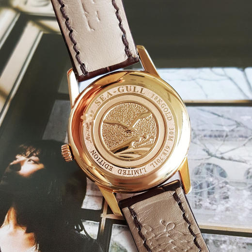 【95新】SEA-GULL海鸥情侣系列618.701L自动机械机芯31MM（女款）日期显示220525TJ07 商品图6