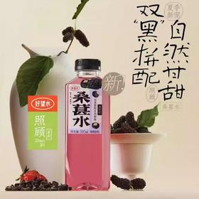 好望水桑葚水500ml