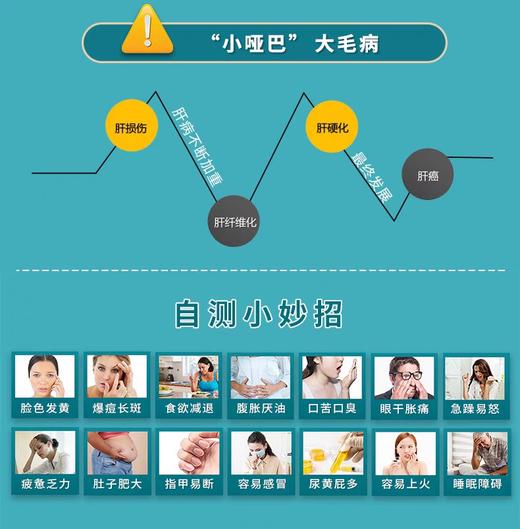 丹参绞股蓝茶-2025-2-25 商品图2