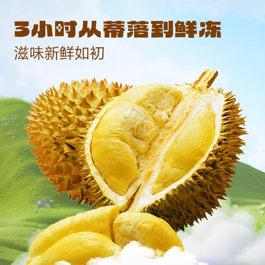 “泰国进口A级果 央企旗下品牌”多彩农垦 金枕榴莲无核果肉小金条/芝士烤榴莲 顺丰冷链发货 100g/盒 商品图7