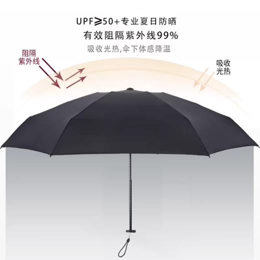 🔥比两个鸡蛋还轻‼️【日本超轻羽毛伞】巴掌大！晴雨两用  轻盈出行好方便🌟 商品图8
