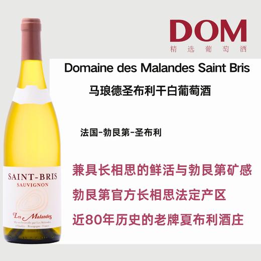 马琅德圣布利干白  Domaine des Malandes Saint Bris 商品图0