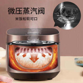 九阳电饭煲4L智能预约多功能焖煮防溢家用电饭煲F-40FZ815【企业采购】【支持一件代发】 /家用电器 /厨房小电 /电饭煲 商品图0