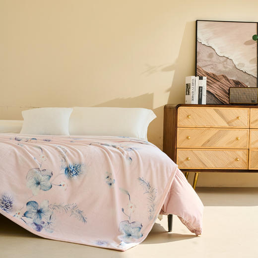 水星家纺 DH绮梦花涧法兰绒毯 商品图9