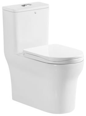 WZB12-01/02 坐便器