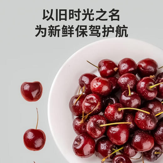 西屋冰箱BCD-290M 商品图3