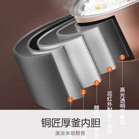 九阳（Joyoung）30分钟快煮饭大火力柴火饭4升家庭容量3~4人电饭煲电饭锅多功能微压焖煮方煲F-40FZ815 /家用电器 /厨房小电 /电饭煲