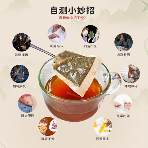 丹参绞股蓝茶-2025-2-25 商品图3