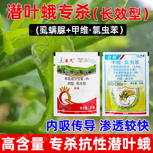 潜叶蛾长效型杀虫方案专杀抗性潜叶蛾锈壁虱杀虫杀卵杀虫剂混配好 商品图2