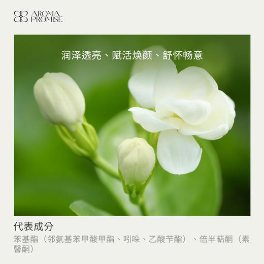 小花茉莉精油2ml 芬芳优雅 紧致亮肤舒缓压力 商品图1