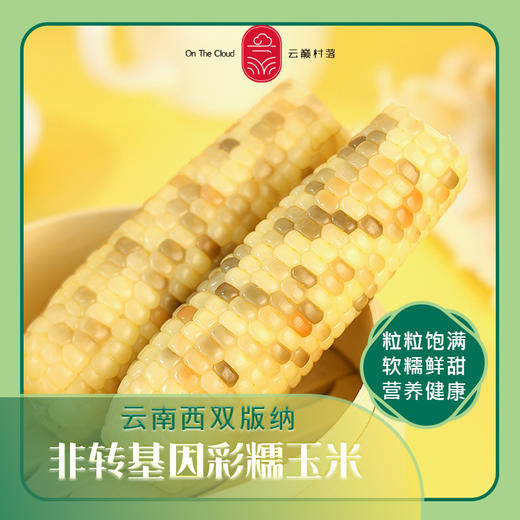 云巅村落香糯小玉米 商品图3