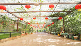 济南慢姑娘南山小院轰趴馆