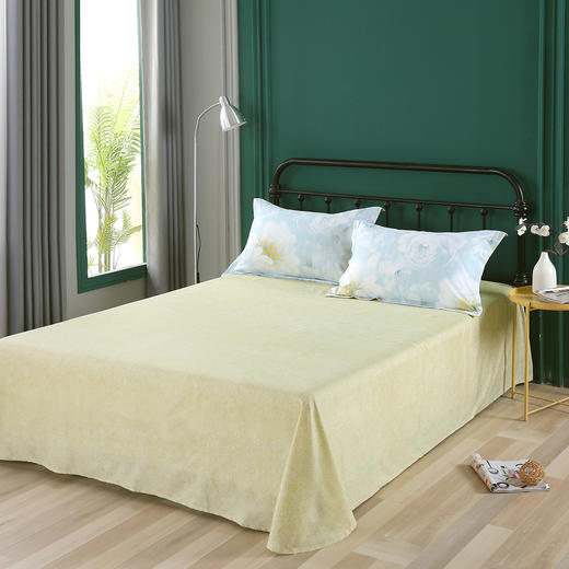 水星家纺 DH鸿蒙-S04四件套 商品图13