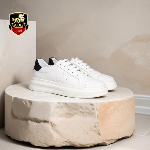 豪麟名鞋迪嘉男鞋休闲鞋牛皮革DJWTA51MX001白色 商品图1