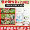 潜叶蛾长效型杀虫方案专杀抗性潜叶蛾锈壁虱杀虫杀卵杀虫剂混配好 商品缩略图3