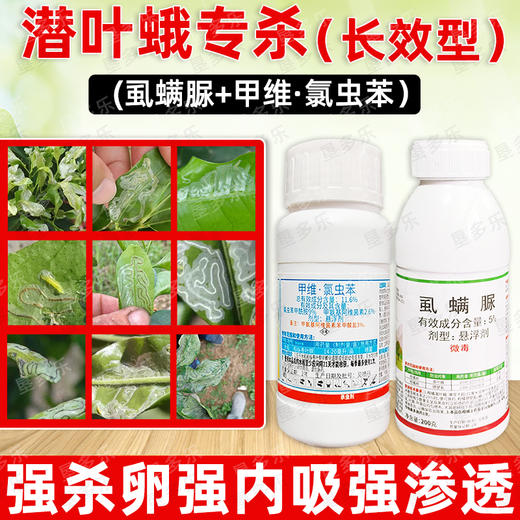 潜叶蛾长效型杀虫方案专杀抗性潜叶蛾锈壁虱杀虫杀卵杀虫剂混配好 商品图3
