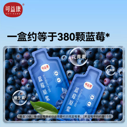 可益康蓝莓原浆饮品300ml 商品图3