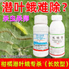 潜叶蛾专杀套餐正品虱螨脲杀卵柑橘果树锈壁虱潜叶蛾专用杀虫剂 商品缩略图1