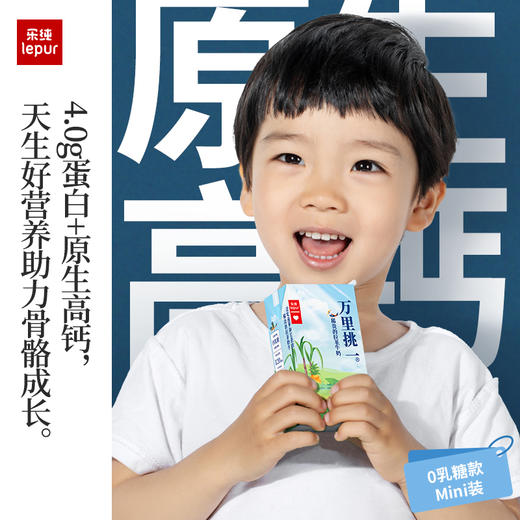乐纯 万里挑一水牛奶4.0g（0乳糖）125ml*9/125ml*9*3 商品图2