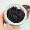 【冻干桑葚】115g/瓶 春季养生好搭档花茶伴侣 商品缩略图1