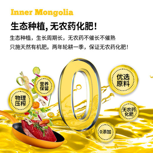 凤禾鸣·初榨葵花籽油1.9L|内蒙古高原巴彦淖尔产初榨食用油油炸烹饪 商品图2