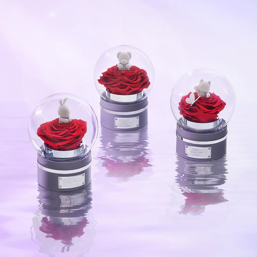 【音乐公仔】ROSEONLY诺誓 永生玫瑰-玫瑰公仔  甜心兔熊猫公仔音乐球礼盒 送女友节日礼物 商品图0