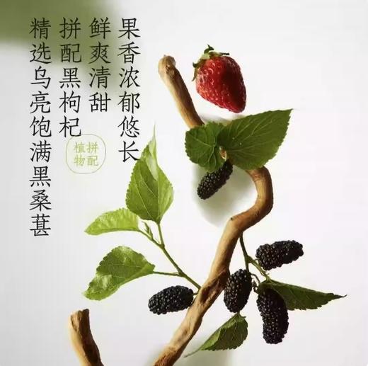 好望水桑葚水500ml 商品图1