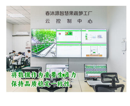 春沐源桔绿组合，小桔灯脆甜爽口，葡萄番茄皮薄糯甜 商品图9