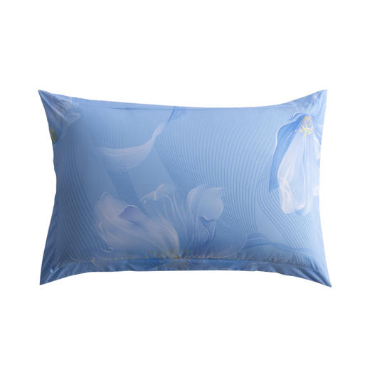 水星家纺 DH锦瑟未央-S04（抗菌）四件套 商品图1