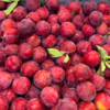 【十堰主城区包邮】新鲜水果 酸甜多汁郧阳区清凉寺红布林  5斤装 商品缩略图2