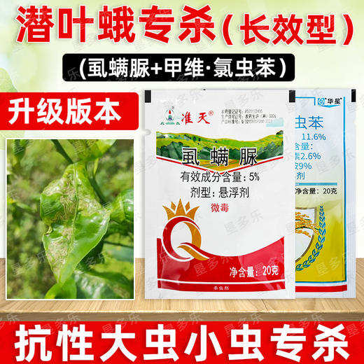 潜叶蛾长效型杀虫方案专杀抗性潜叶蛾锈壁虱杀虫杀卵杀虫剂混配好 商品图4