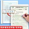 2025年新版小学生语文专项练字帖同步教材1-6年级上下册笔顺笔画规范书写同步练字视频教程 商品缩略图4