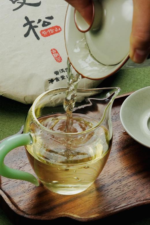 2025【曼松背阴山】皇家贡茶秘境 商品图5