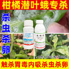 潜叶蛾专杀套餐正品虱螨脲杀卵柑橘果树锈壁虱潜叶蛾专用杀虫剂 商品缩略图4