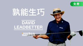 孰能生巧-大卫·利百特