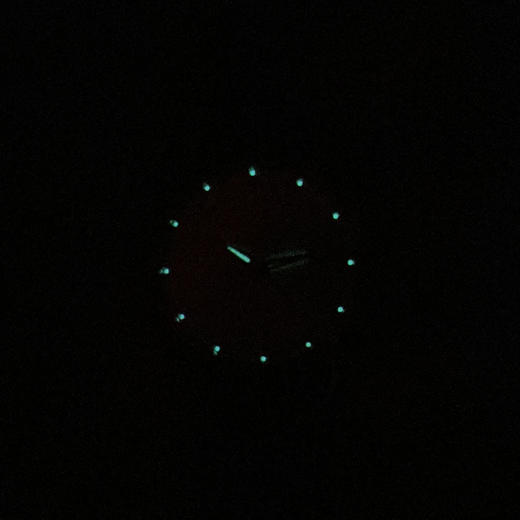 【95新】SEA-GULL海鸥情侣系列618.701L自动机械机芯31MM（女款）日期显示220525TJ07 商品图8