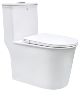 WZB19-01/02 轻智能坐便器