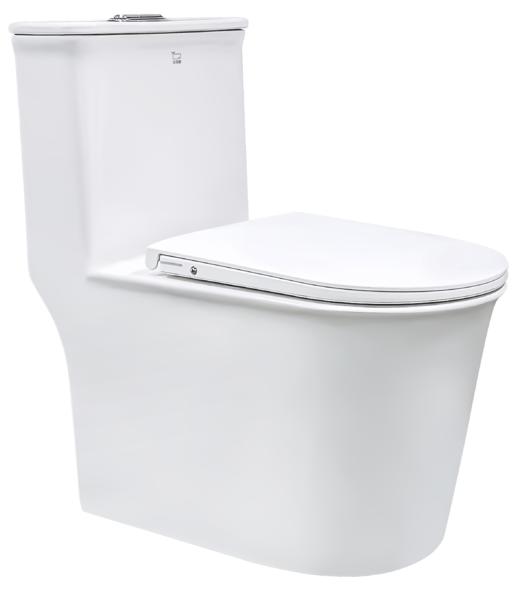 WZB19-01/02 轻智能坐便器 商品图0