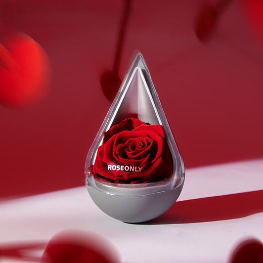 【星座水滴】ROSEONLY诺誓  永生玫瑰 星座经典 水滴玫瑰 红色  十二星座守护色 送女友爱人生日礼物 商品图0
