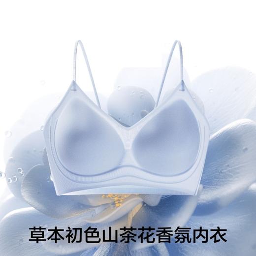 【99元2件,享2条内裤】草本初色山茶花香氛冰肌凉感无痕文胸内衣【吊带细闪5101款】 商品图2