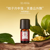 桂花精油2ml 典雅幽香 缓解焦虑 安抚心灵 商品缩略图0