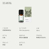 胡椒薄荷精油10ml 商品缩略图2
