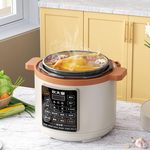 炊大皇电压力锅 CDH-YL1051可预约可自动排压 商品图2